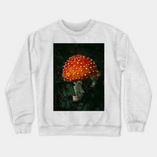 Amanita Muscaria a.k.a Fly Agaric Crewneck Sweatshirt